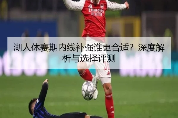 湖人休赛期内线补强谁更合适？深度解析与选择评测
